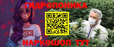 индика Усть-Джегута
