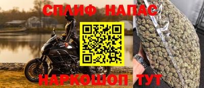 индика Усть-Джегута