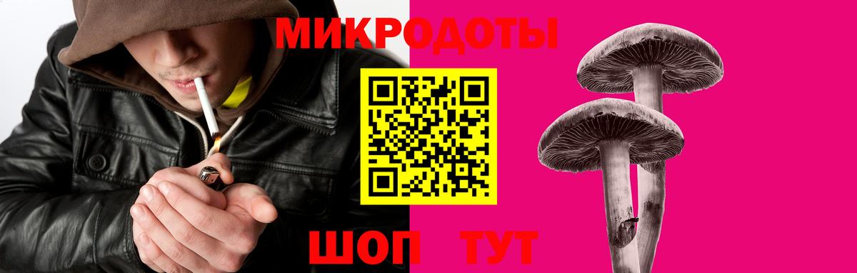 Псилоцибиновые грибы Psilocybine cubensis Ногинск